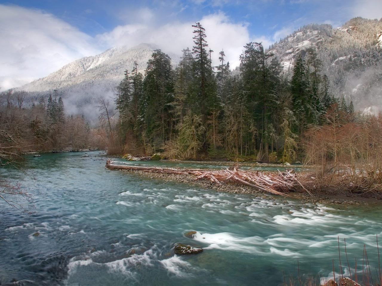 обои Elwha River,   Olympic National Park,   Washington фото