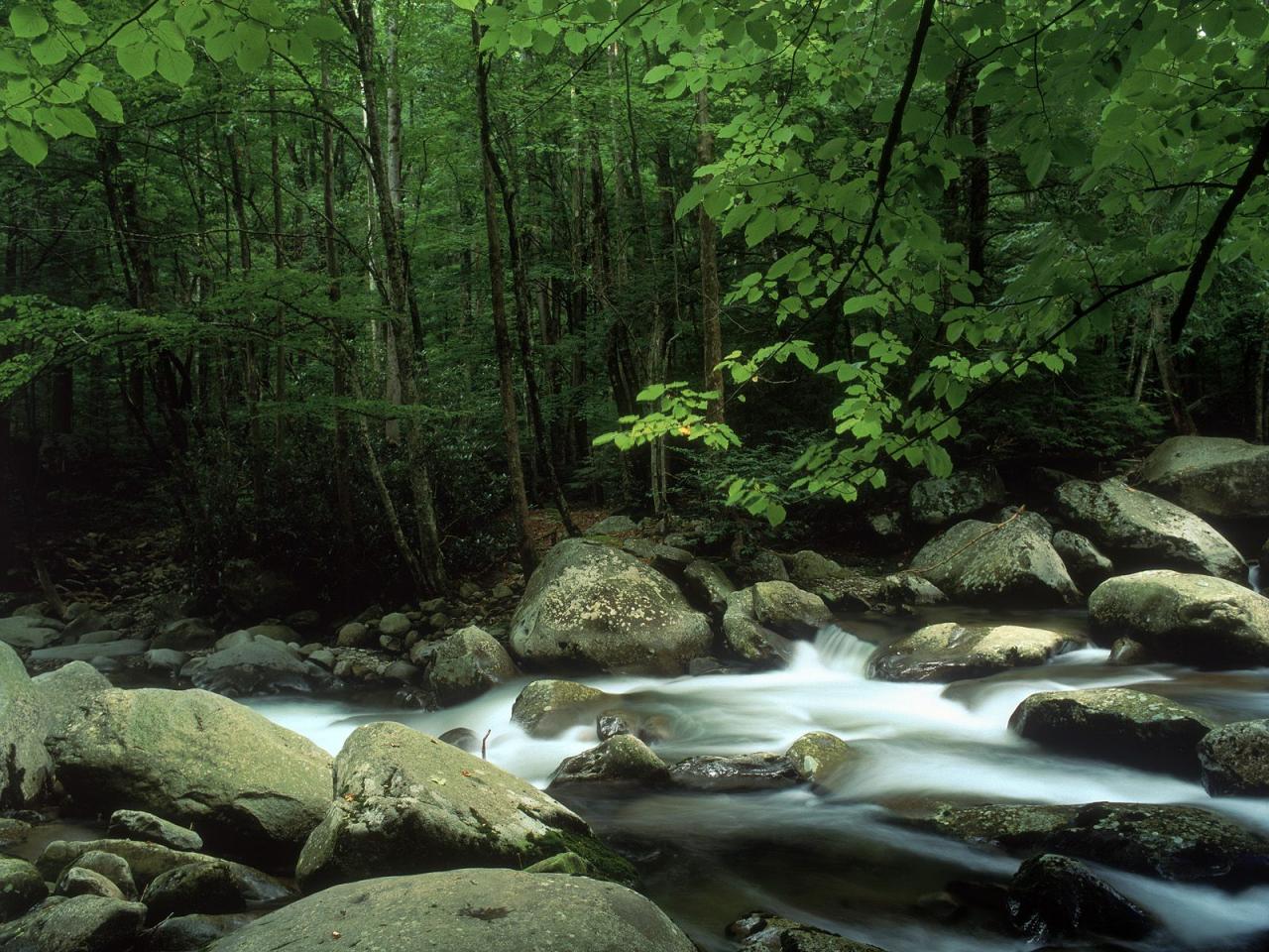 обои Little Pigeon River,   Great Smoky Mountains National Park,   Tennessee фото