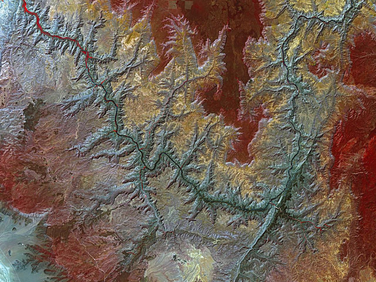 обои Satellite View of the Grand Canyon фото