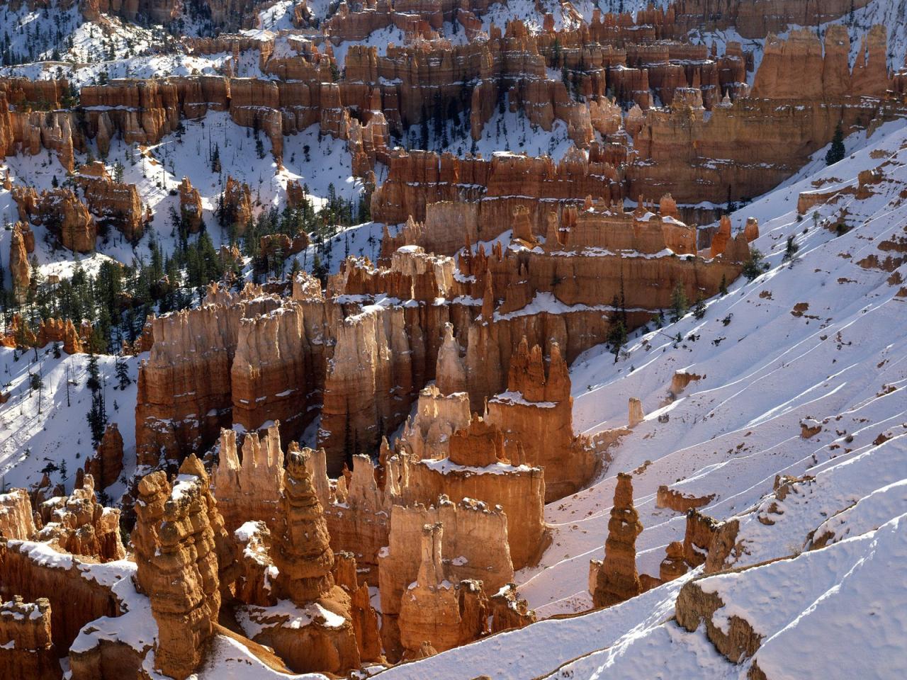 обои Morning Light at Inspiration Point,   Bryce Canyon,   Utah фото