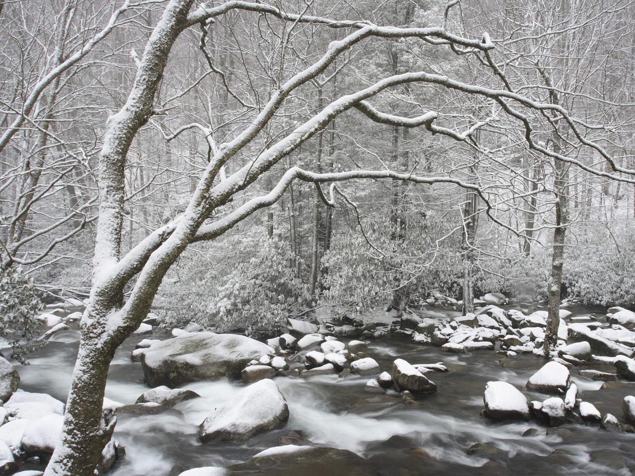 обои Smoky Mountains National Park in Winter,   Tennessee фото