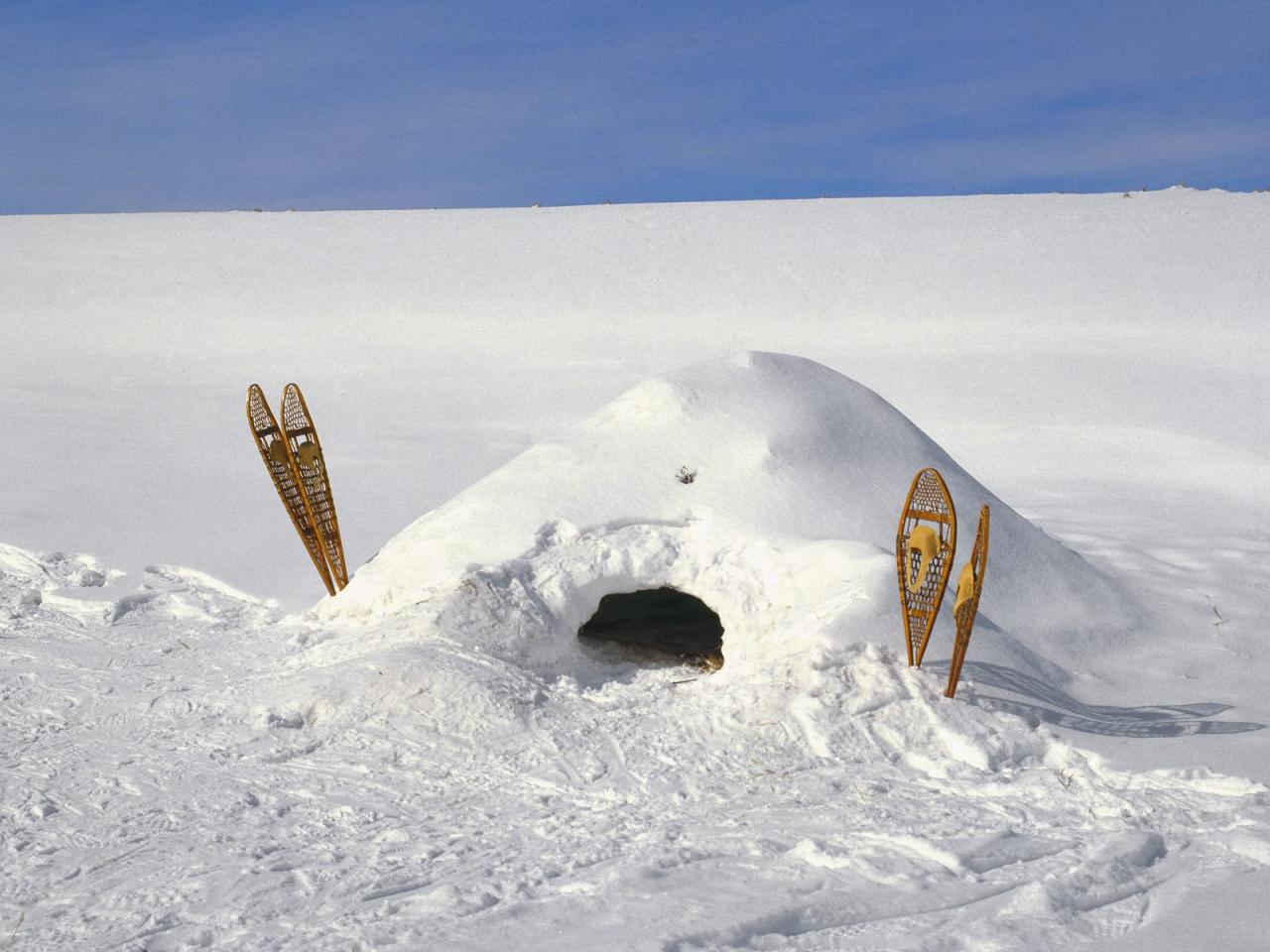 обои Snow Shelter,   Dodge Nature Center,   Mendota Heights,   Minnesota фото