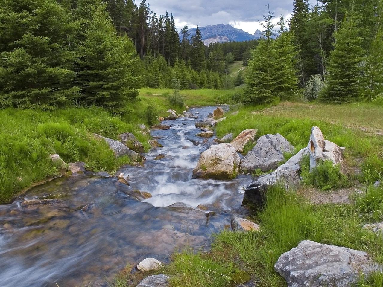 обои Stream Near Lake Minnewanka,   Banff National Park,   Alberta фото