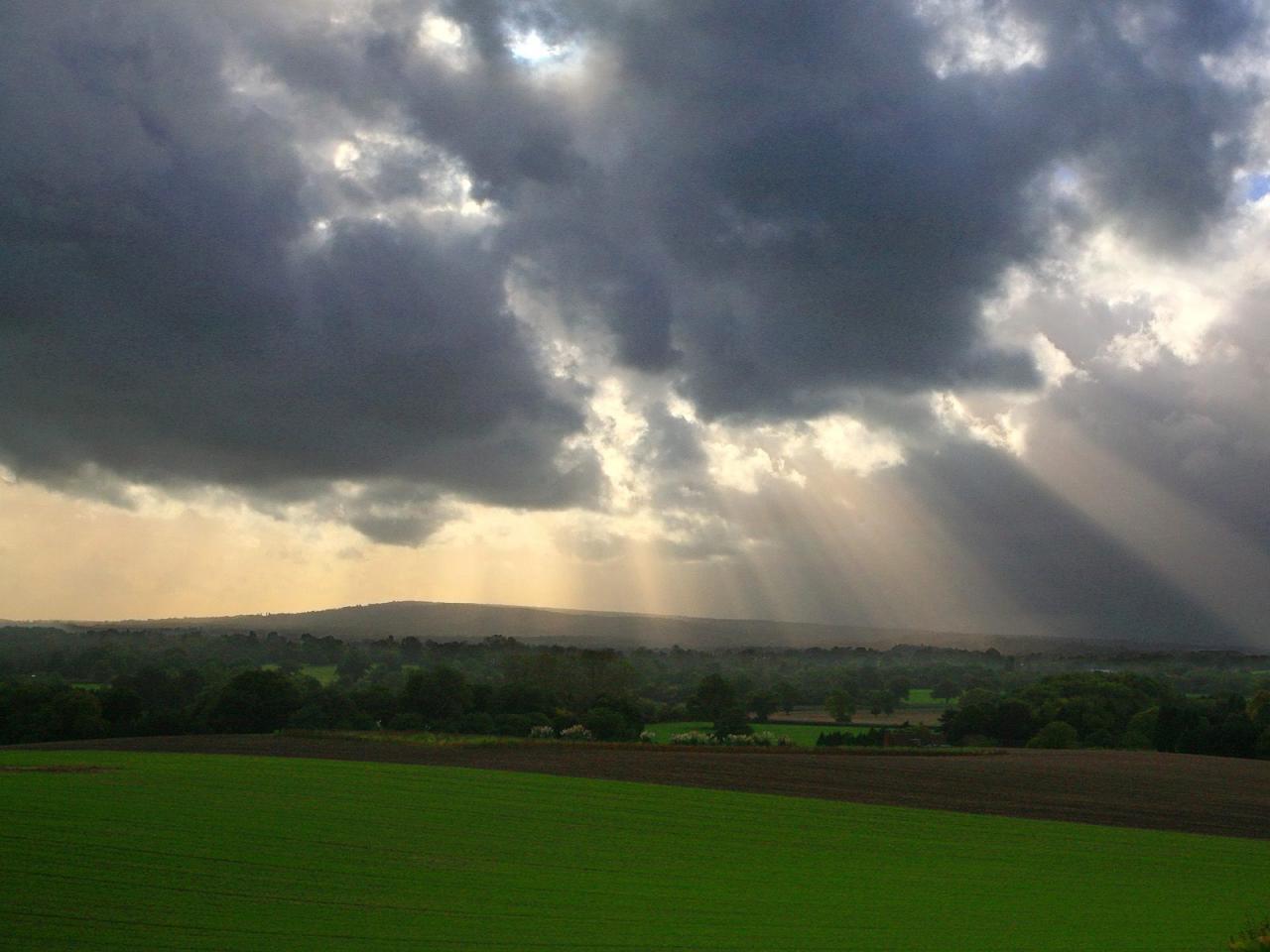 обои Mystical Light,   Between Dorking and Merstham on the North Downs Way,   England фото