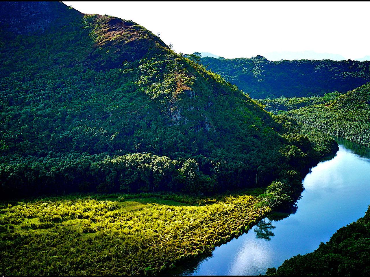 обои Река на гаваях фото