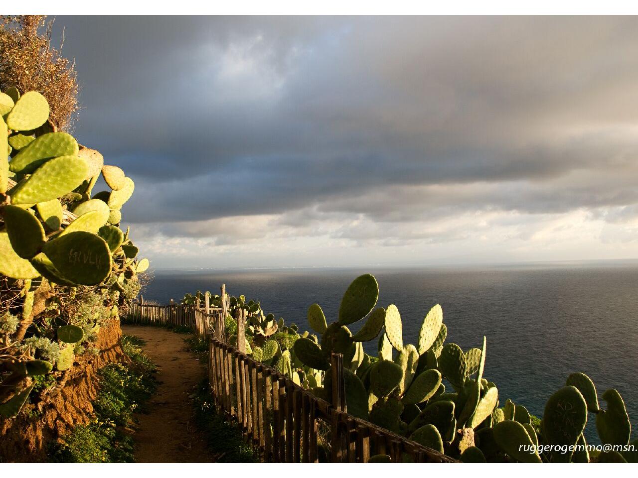 обои Sentiero sul mare cool фото