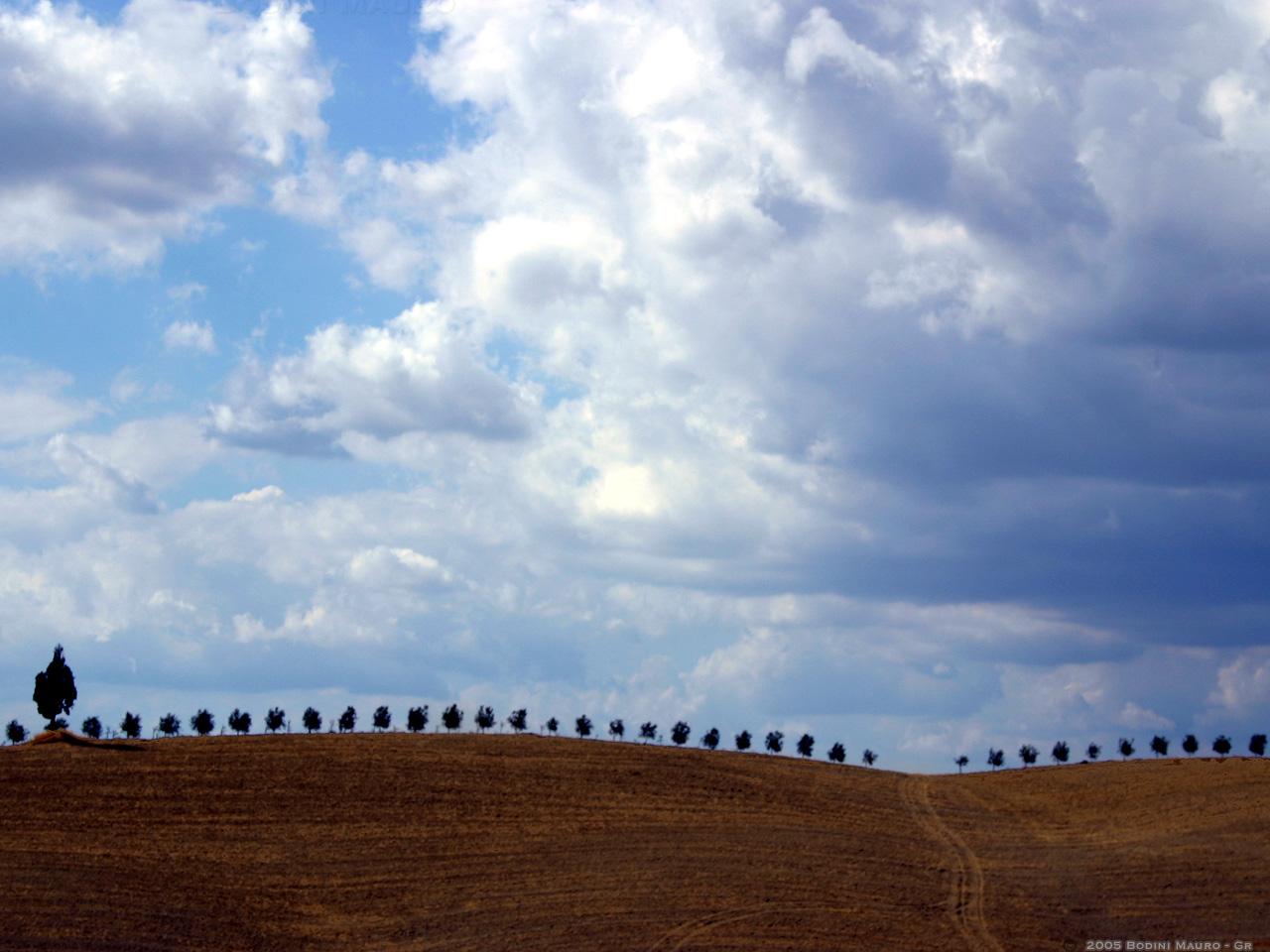 обои Super fila фото