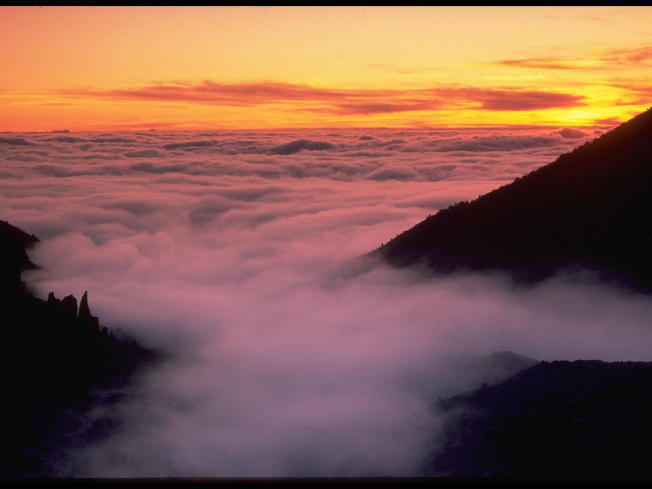 обои Туман в горах фото