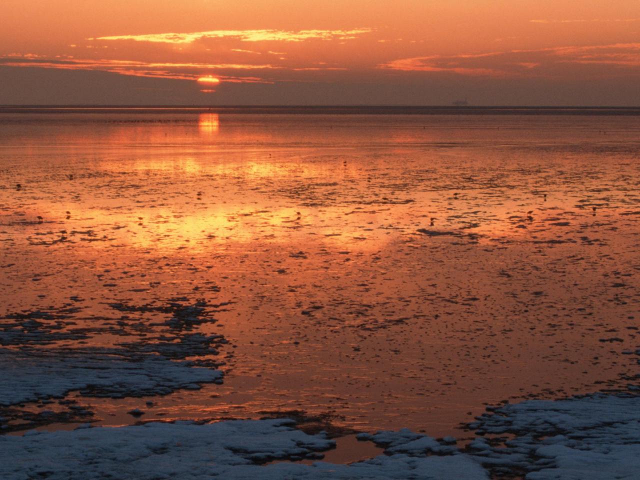 обои Закат над морем Wadden,   Шлезвиг-Гольштейн,   Германия фото