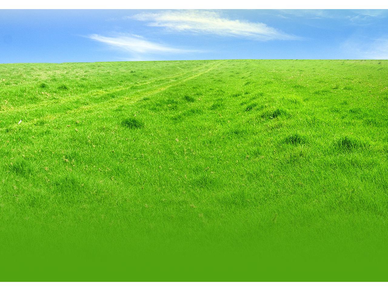обои Зеленое поле и полоса небесная фото