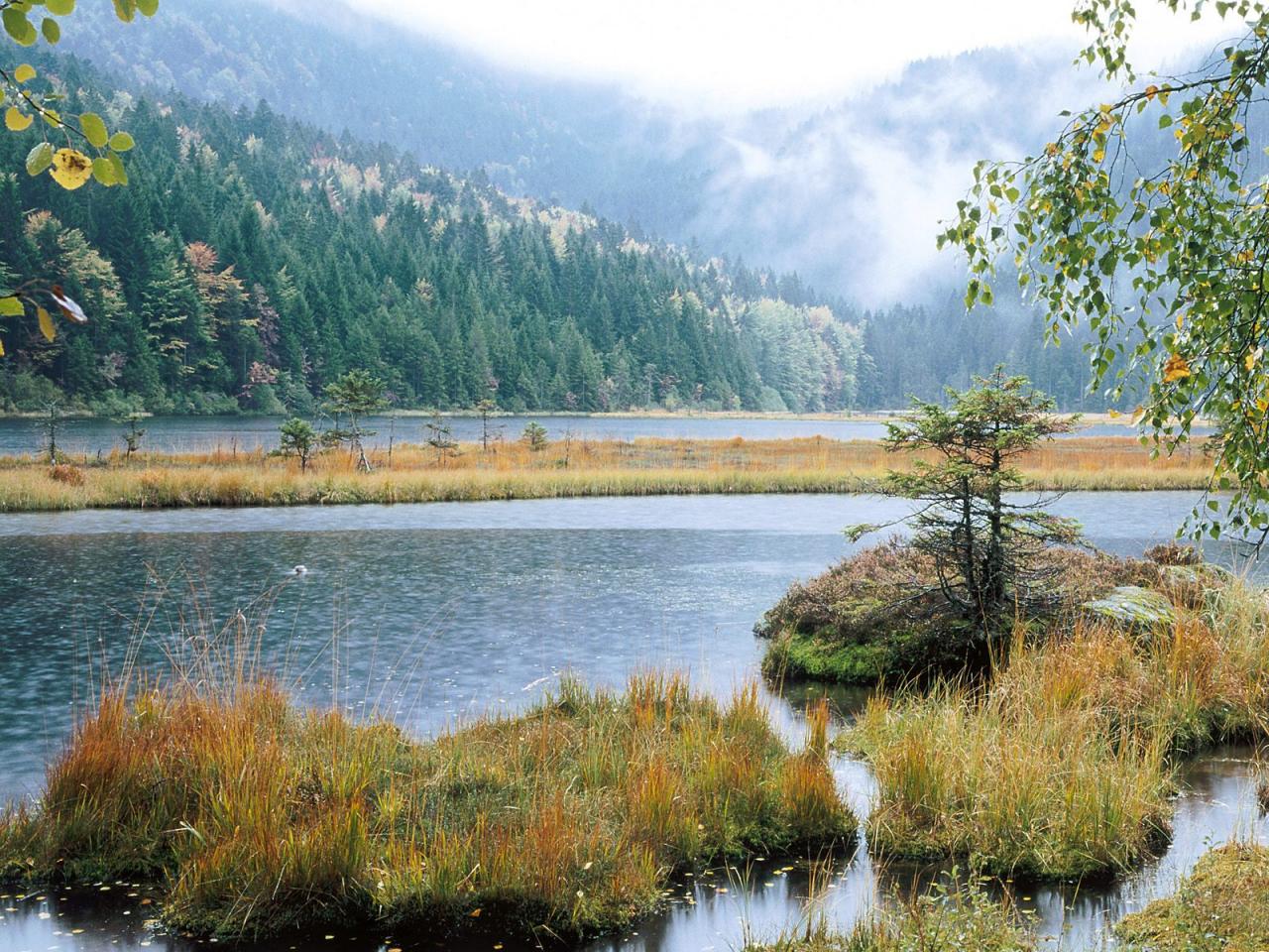 обои Small Arber Lake, Bavarian Forest, Germany мило фото