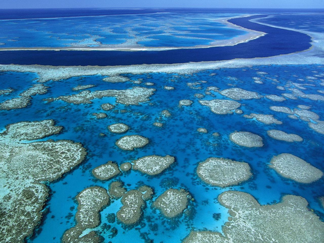 обои Great Barrier Reef Marine Park, Queensland, Australia очень красиво фото