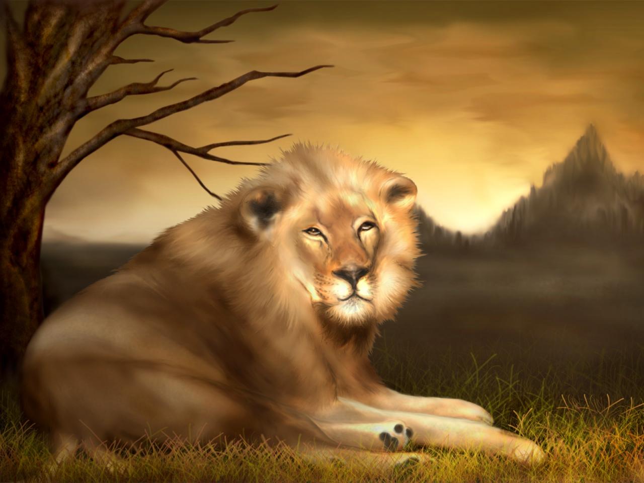 обои Рисунок льва фото
