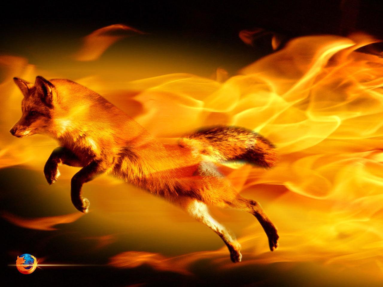 обои Прыжок огненной лисы фото