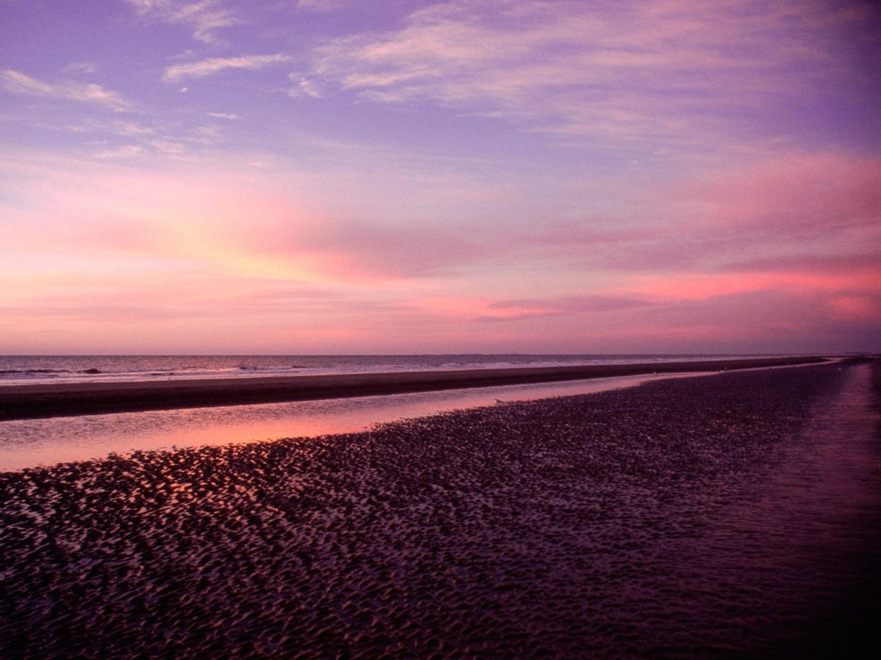 обои Розовое небо и пляж фото