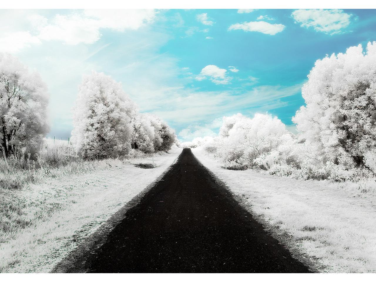 обои Зима и дорога фото