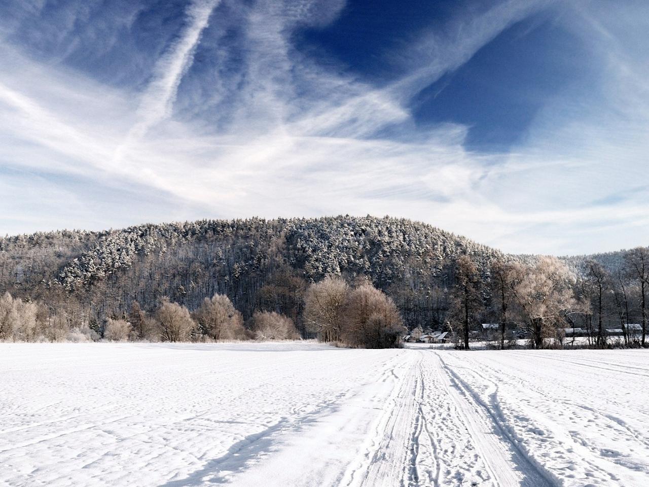 обои Зимний пейзаж на поле фото