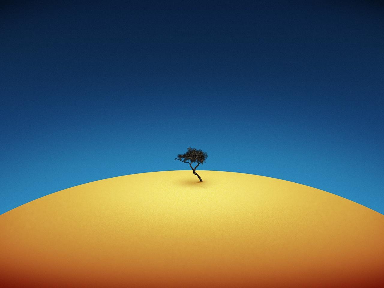 обои Дерево в пустыне фото