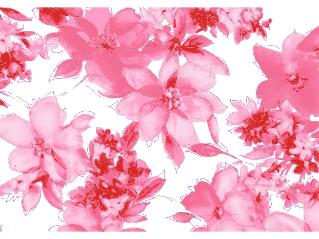 обои Нежные розовые цветы фото