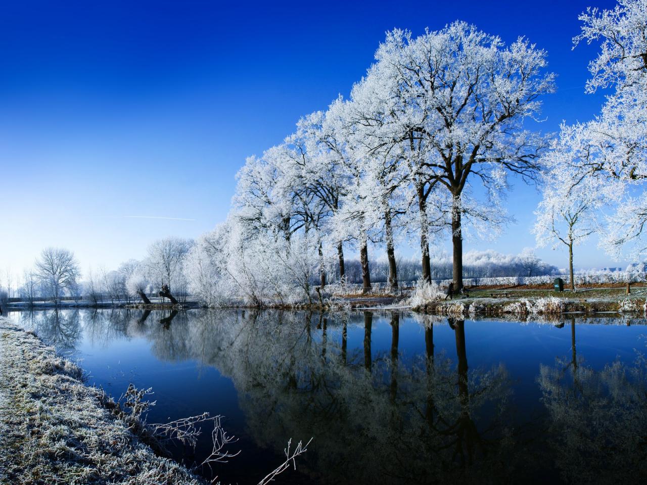 обои Зимние деревья на фоне реки фото