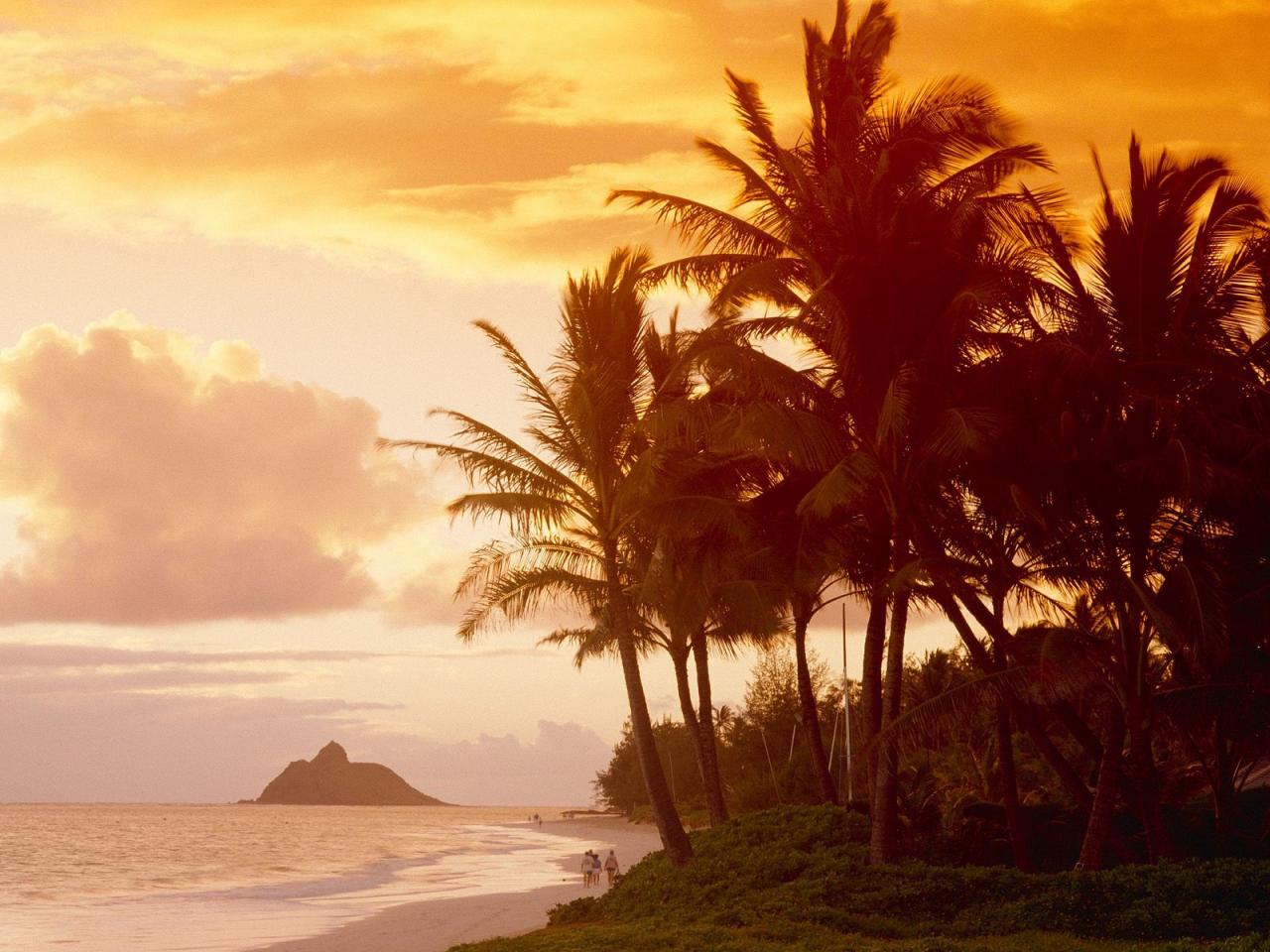 обои Прогулка по тропическому берегу под теплым закатным солнцем фото