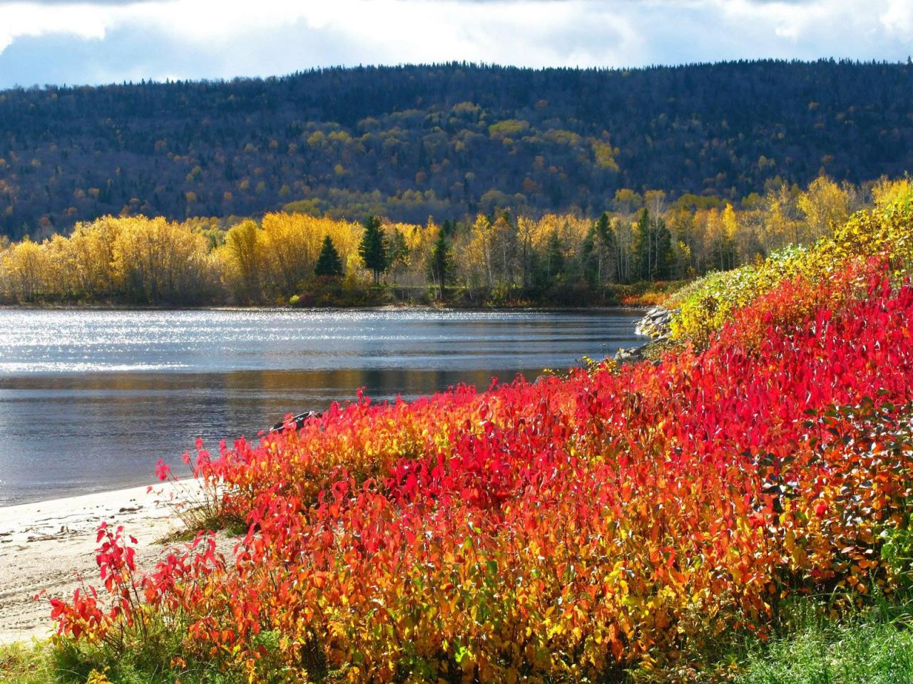 обои Осень на озере фото