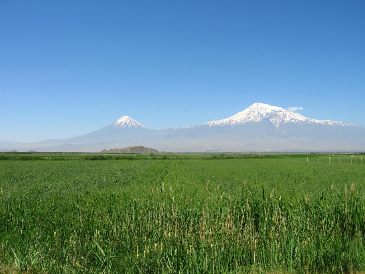 обои ГОРА АРАРАТ за полем фото