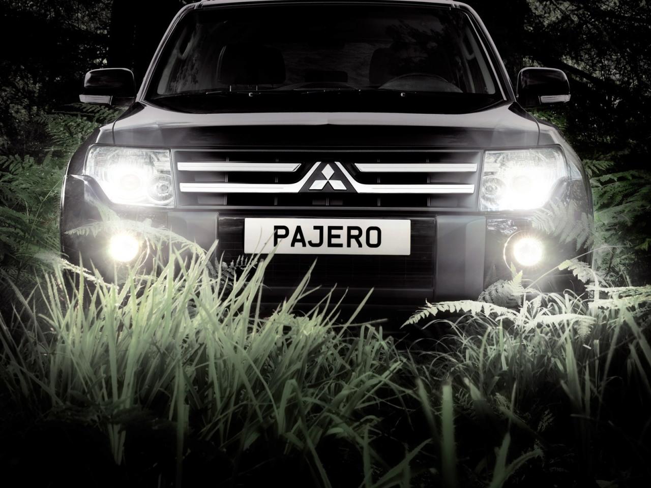 обои Mitsubishi pajero ноч фары в  траве папоротнике фото