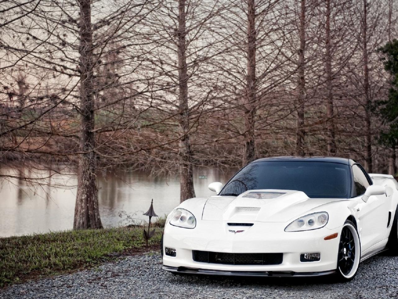 обои Белый Chevrolet-Corvette-ZR1 фото