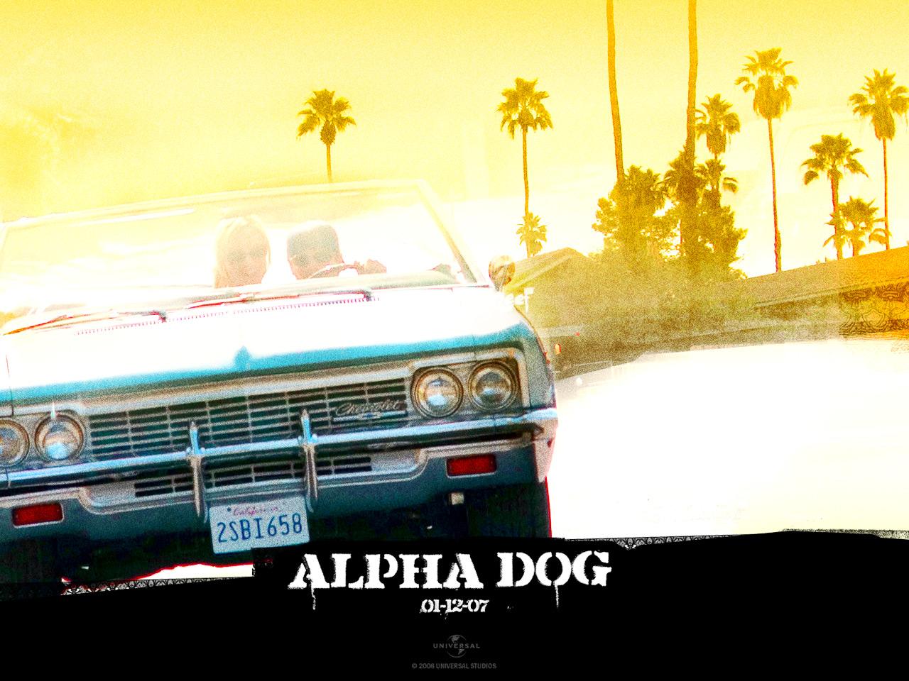 обои Alpha Dog авто фото