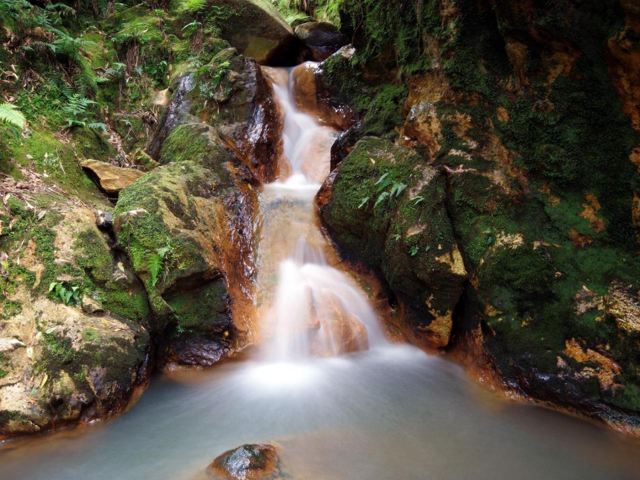 обои Вода средь мшистых валунов фото