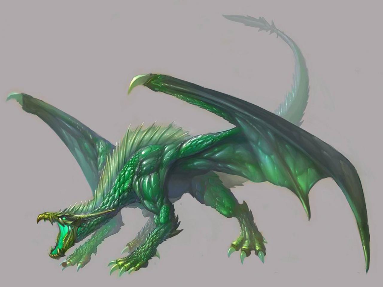 обои Зеленый дракон фото
