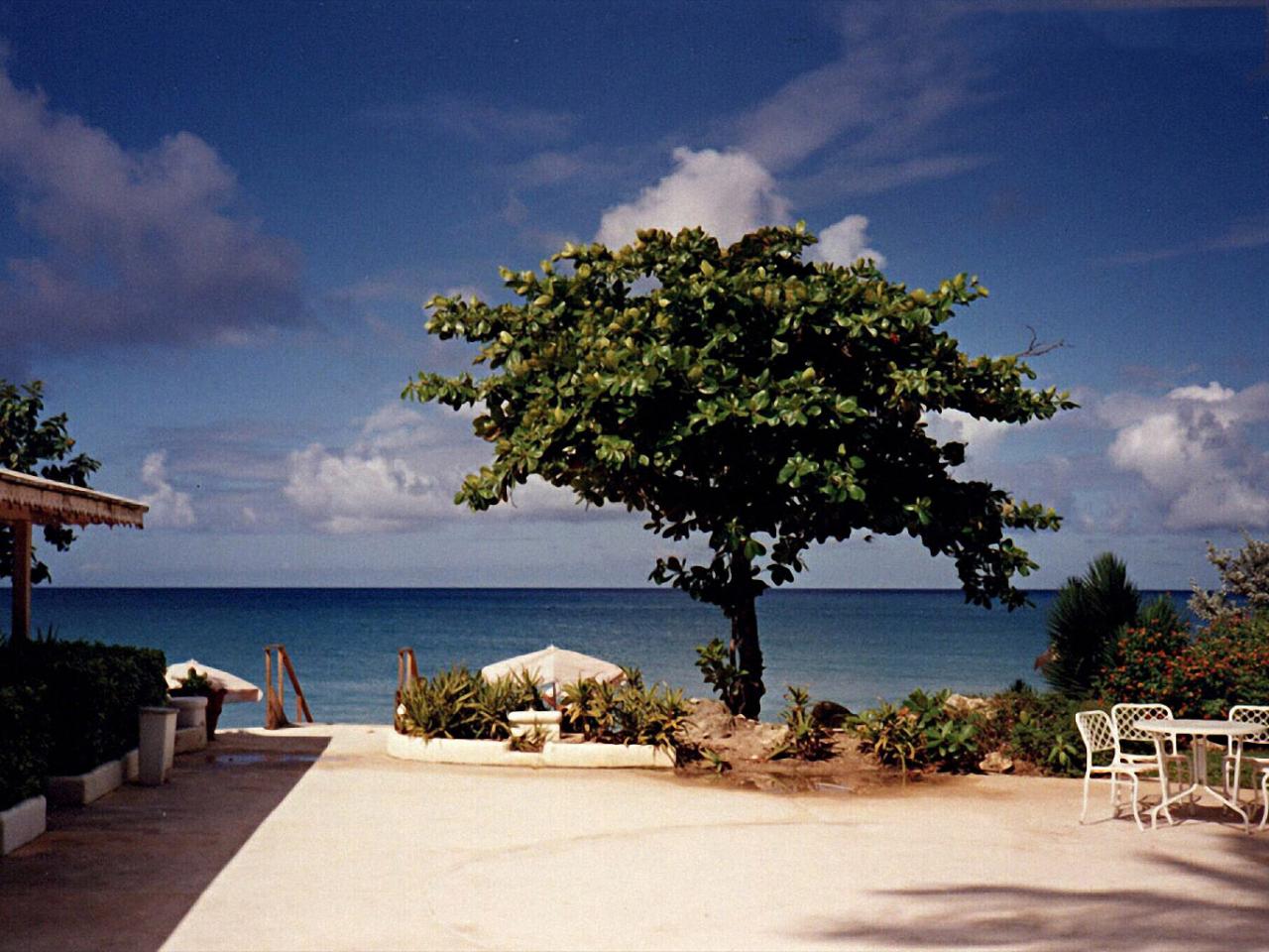 обои Рай на Барбадосе фото