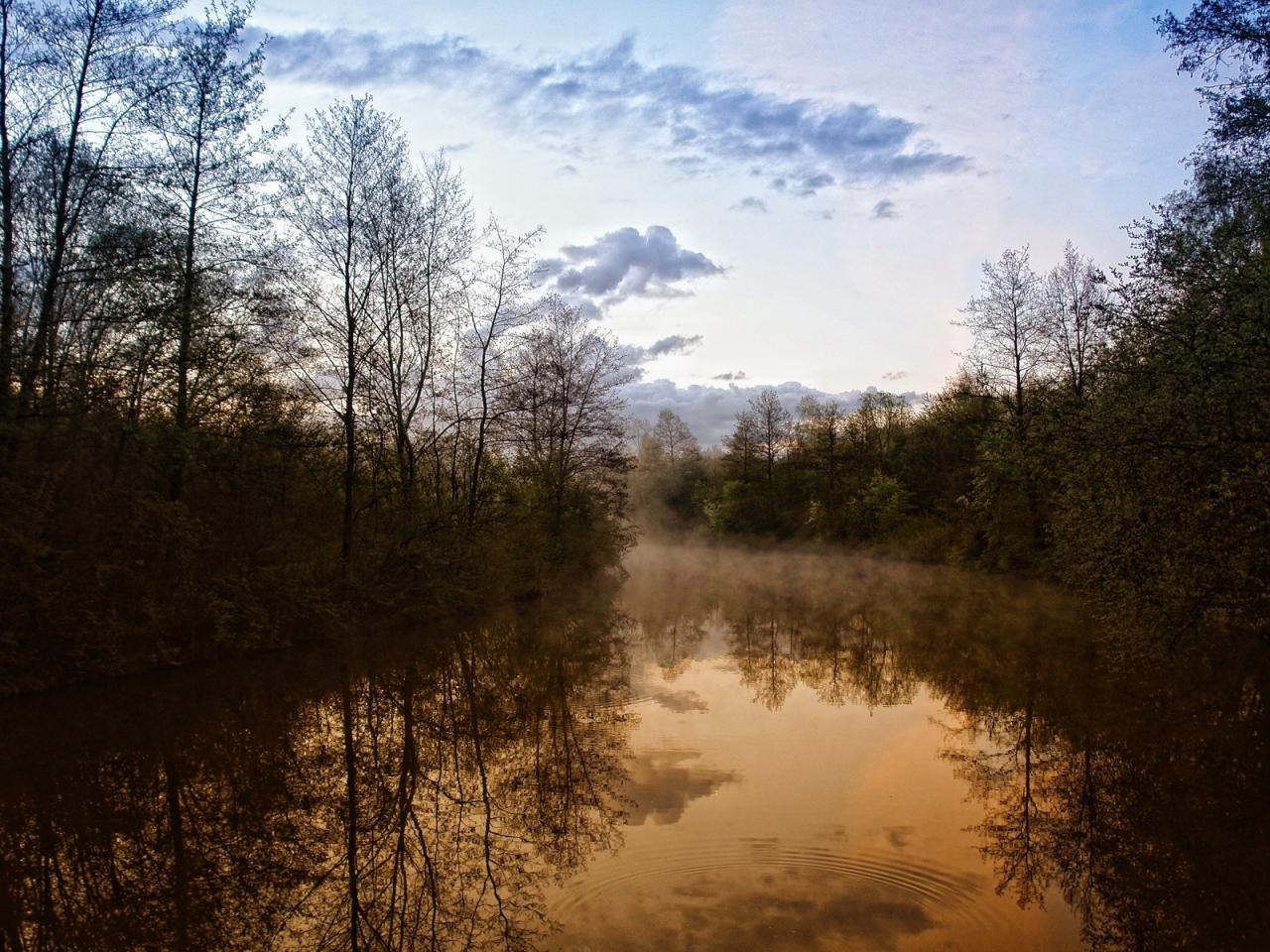 обои Лесная речка м туман фото