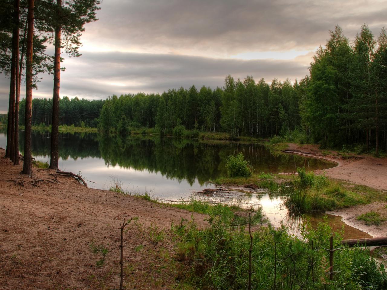 обои Маленькая река фото