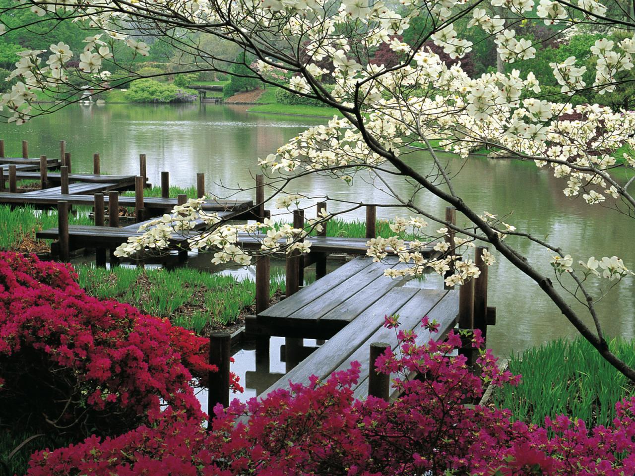 обои Мостки на озере в цветах фото