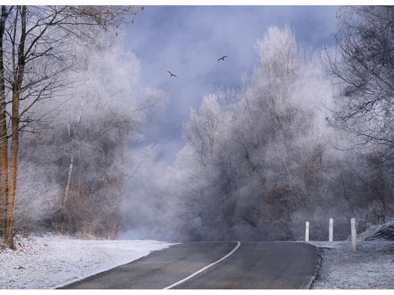 обои Зимняя дорога по лесу фото