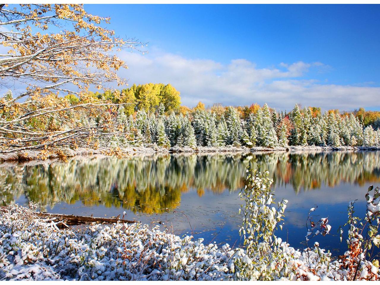 обои Осень в снегу фото