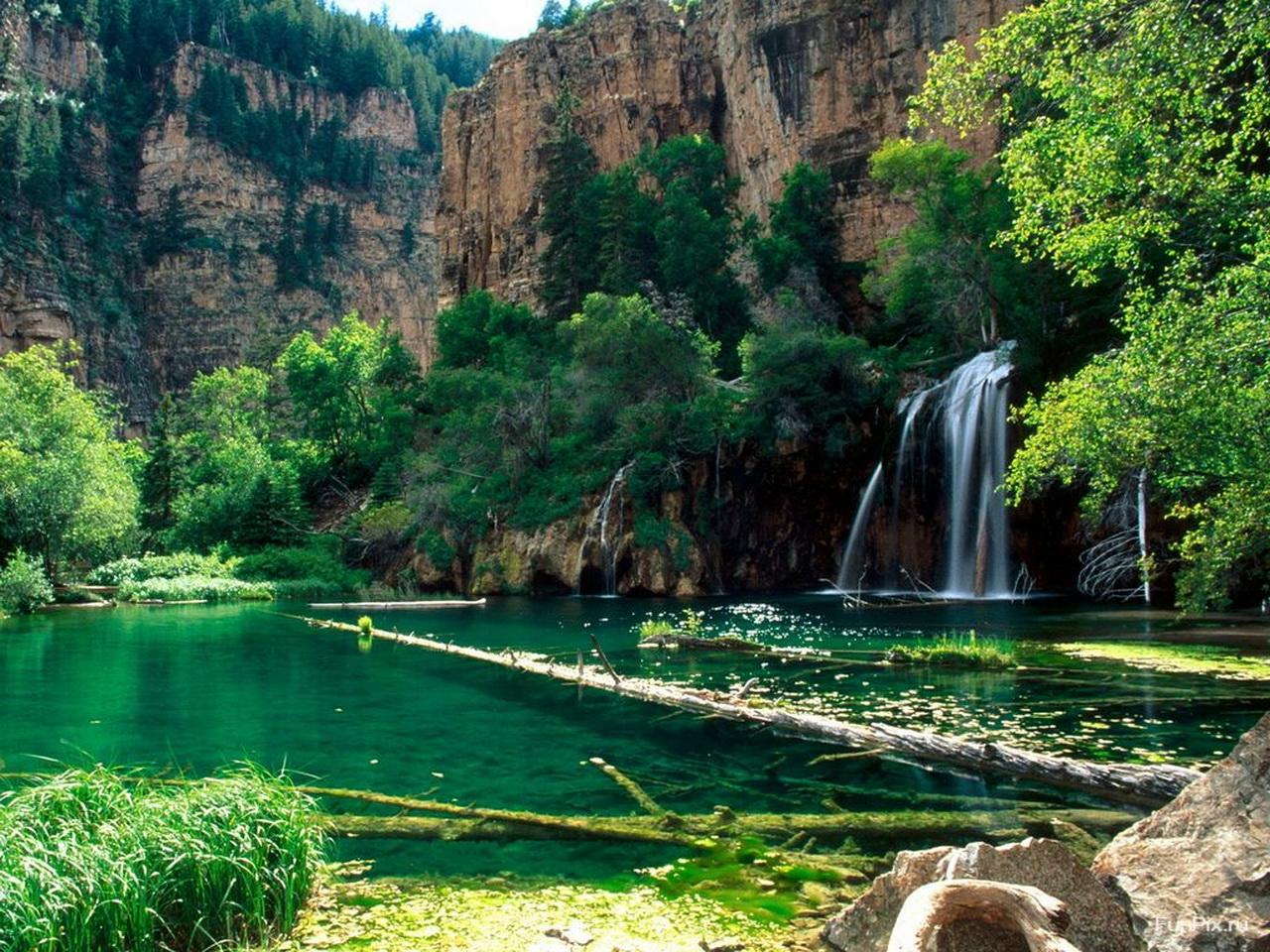 обои Водопад на лесистом обрыве фото