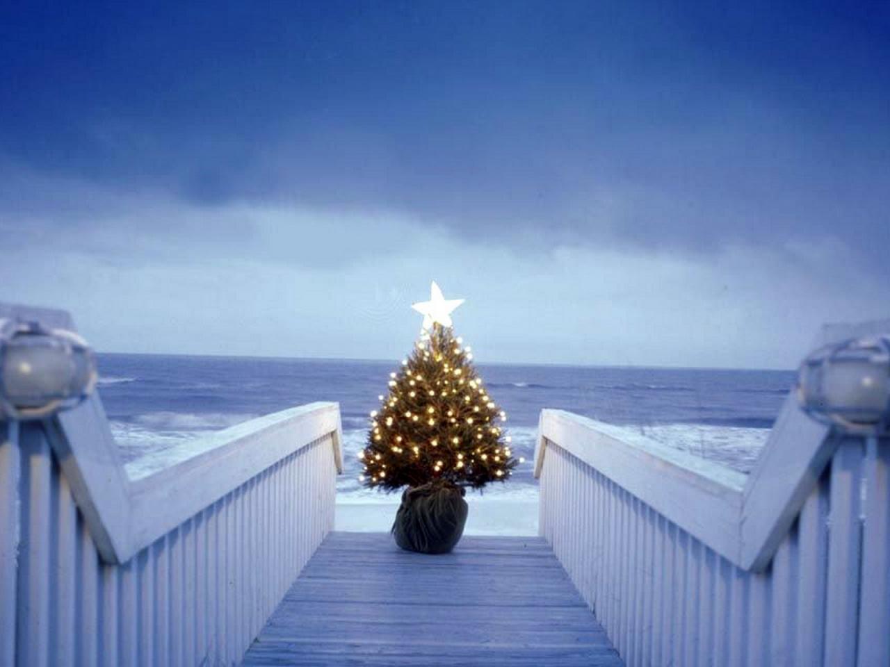обои Пирс украшенный новогодней елкой фото