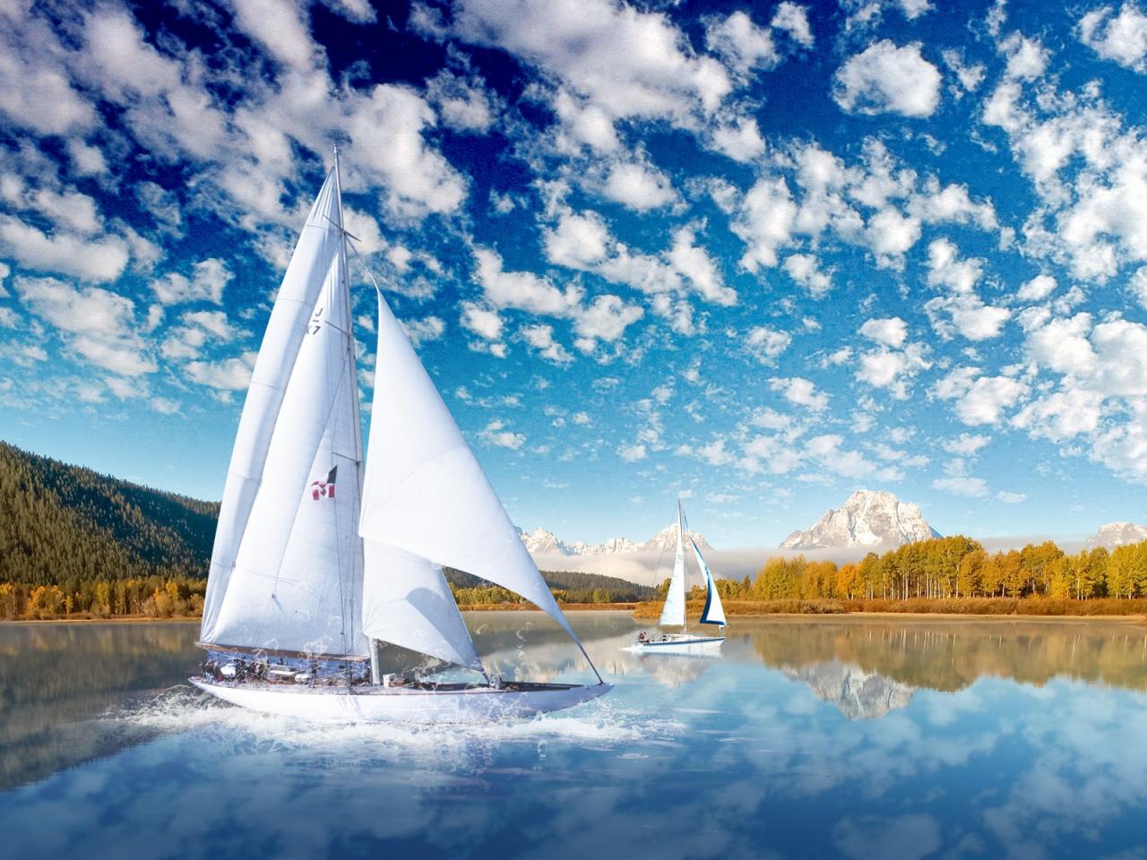 обои Белые парусники на озере фото