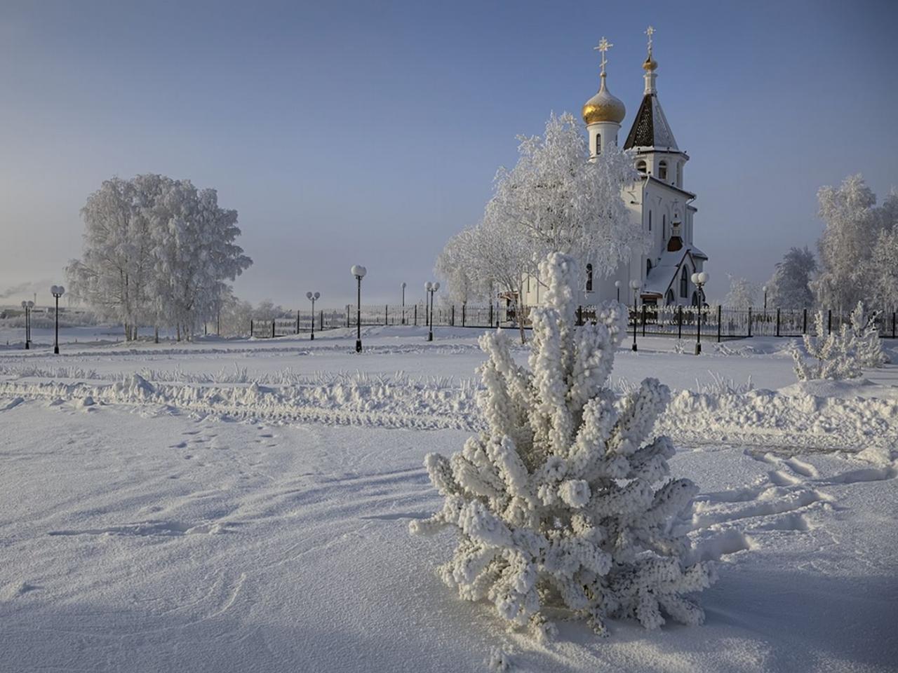 обои Прицерковная ёлочка фото