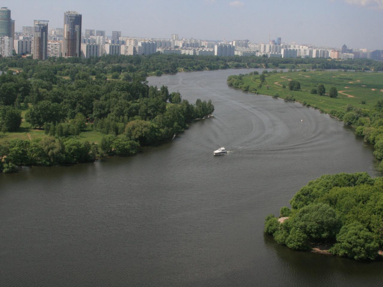 обои Зелень природы возле большого города фото