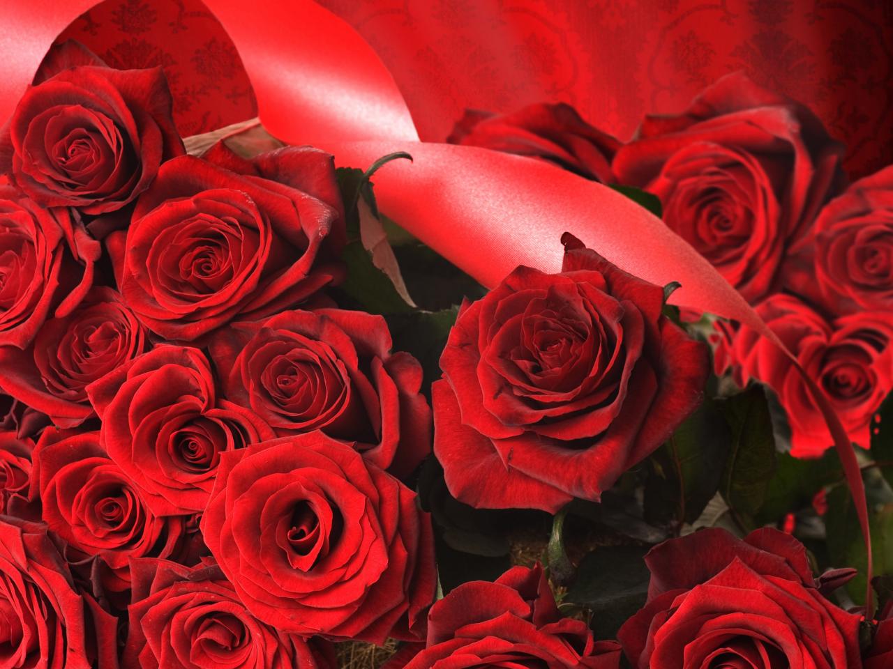 обои Розы красные и лента фото