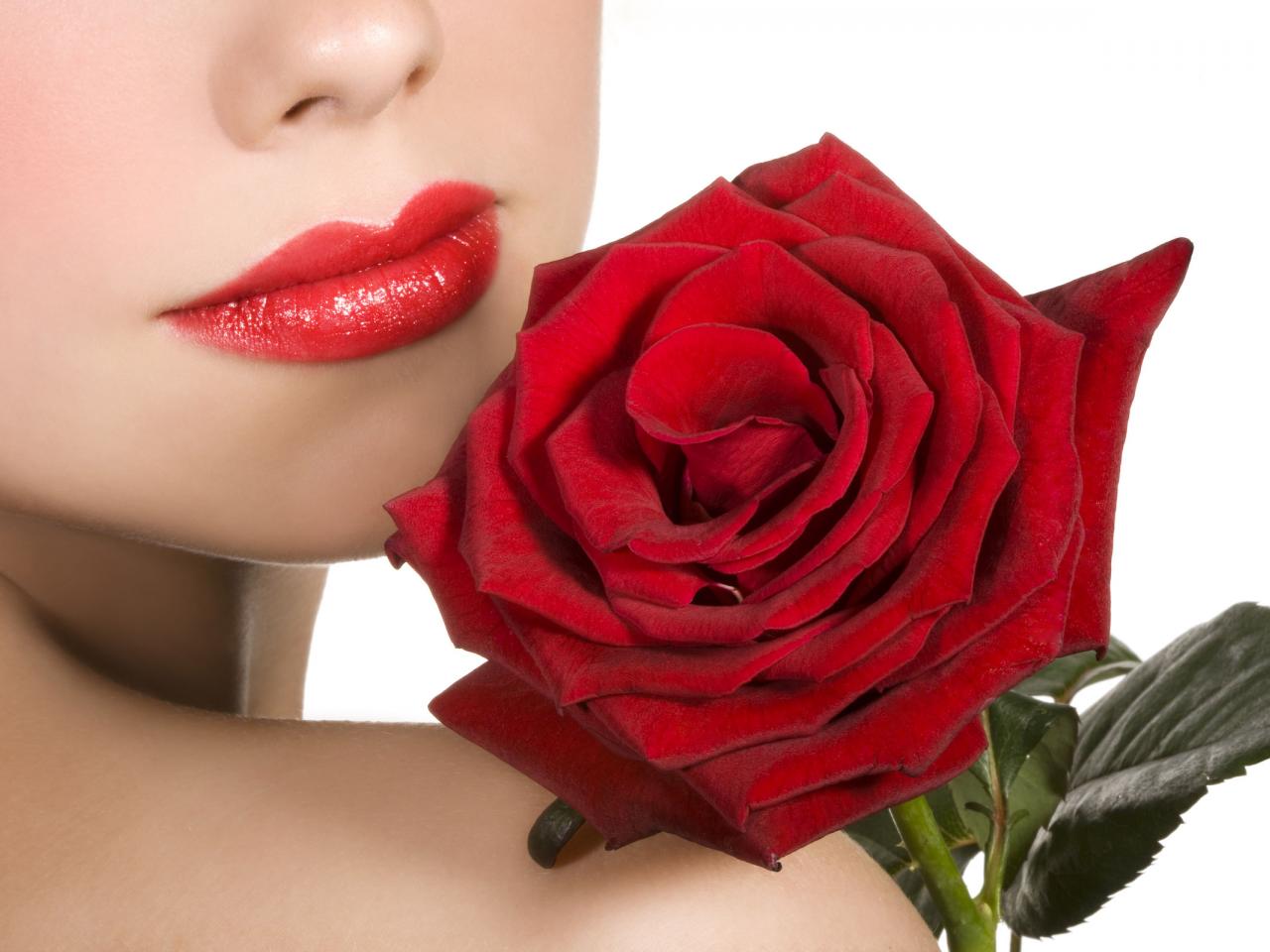 Обои для рабочего стола Алые губы у красной розы фото - Раздел обоев: 8  марта