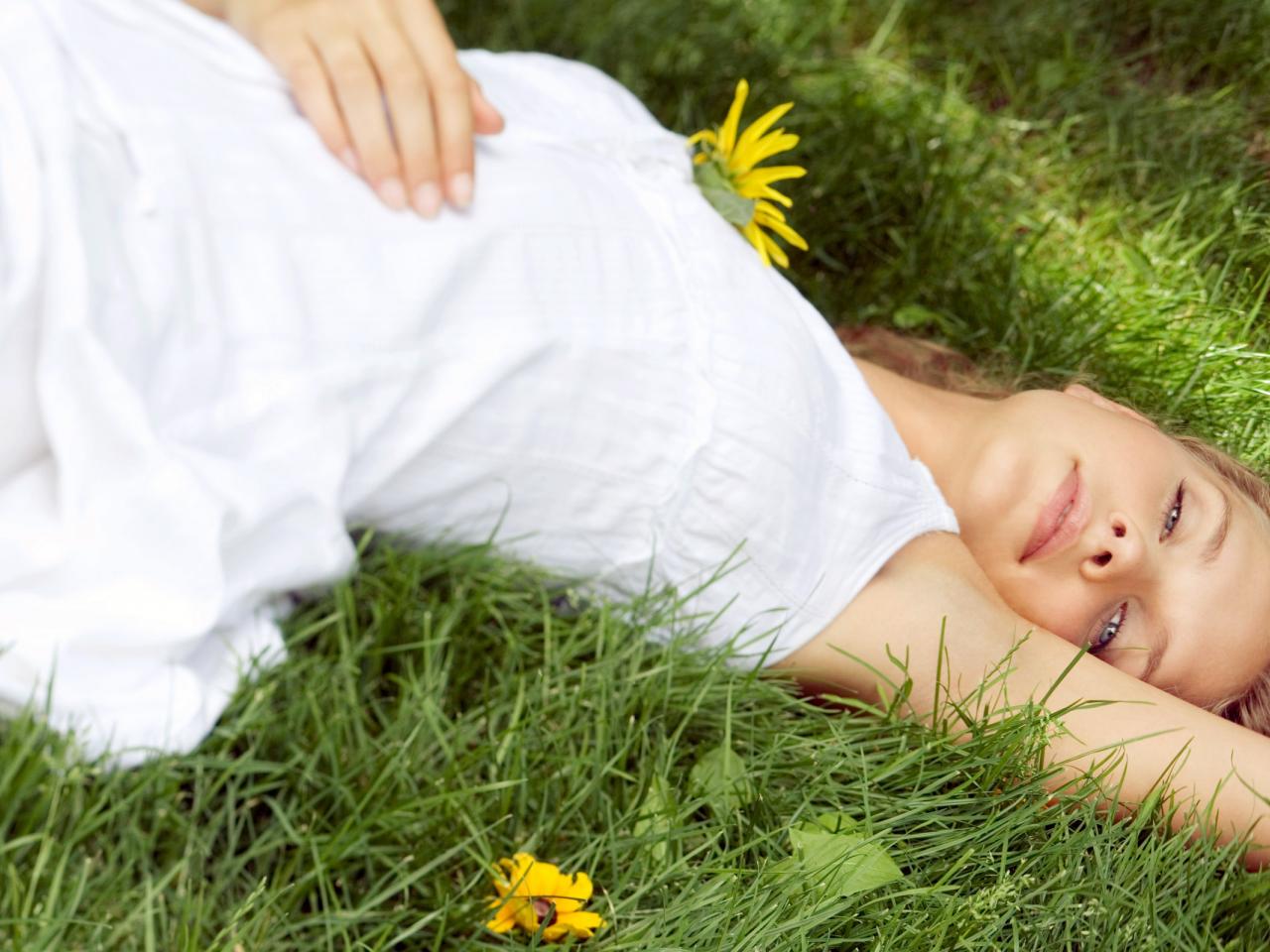 обои На лужайке фото