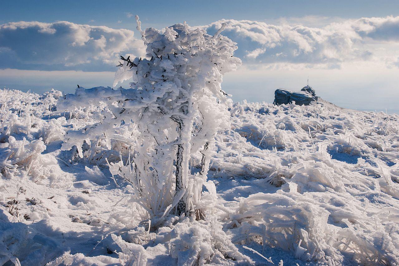 обои Крымские ледяные фантазии фото