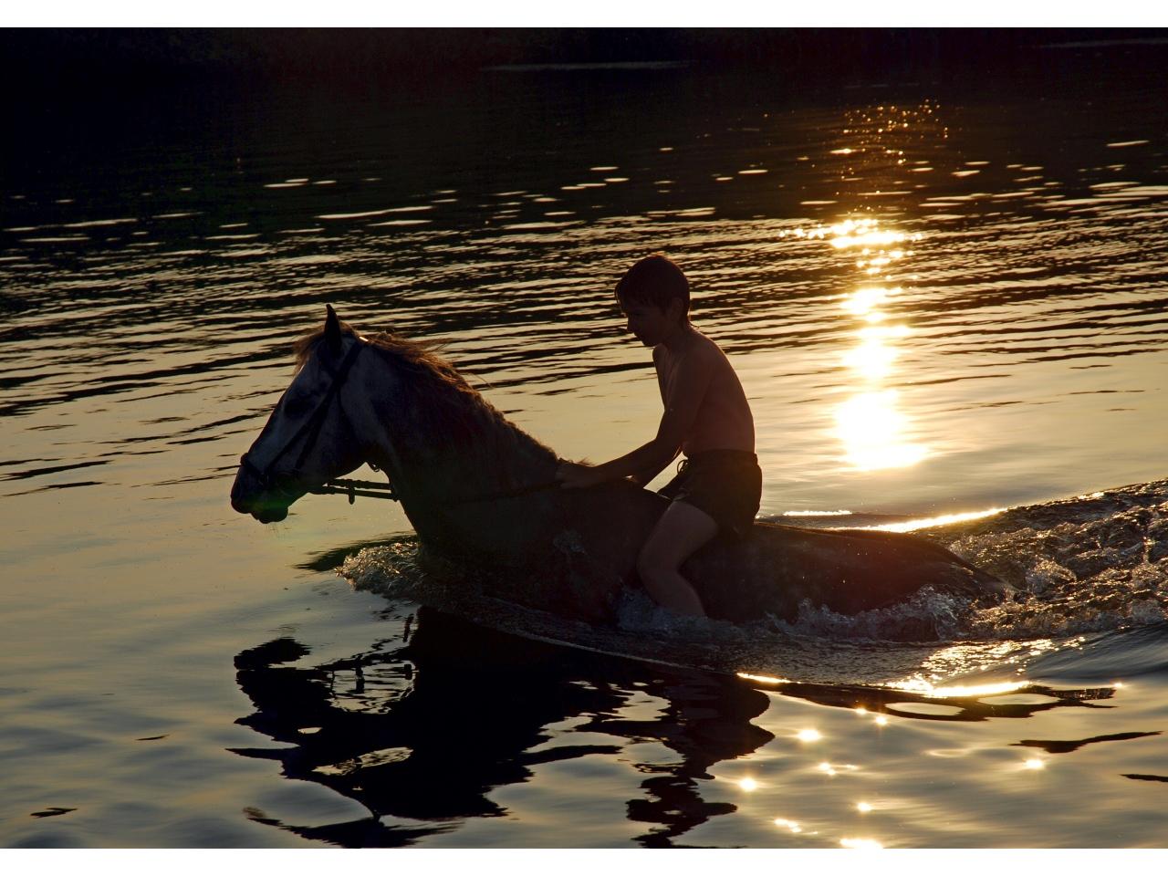 обои В воде верхом на коне фото