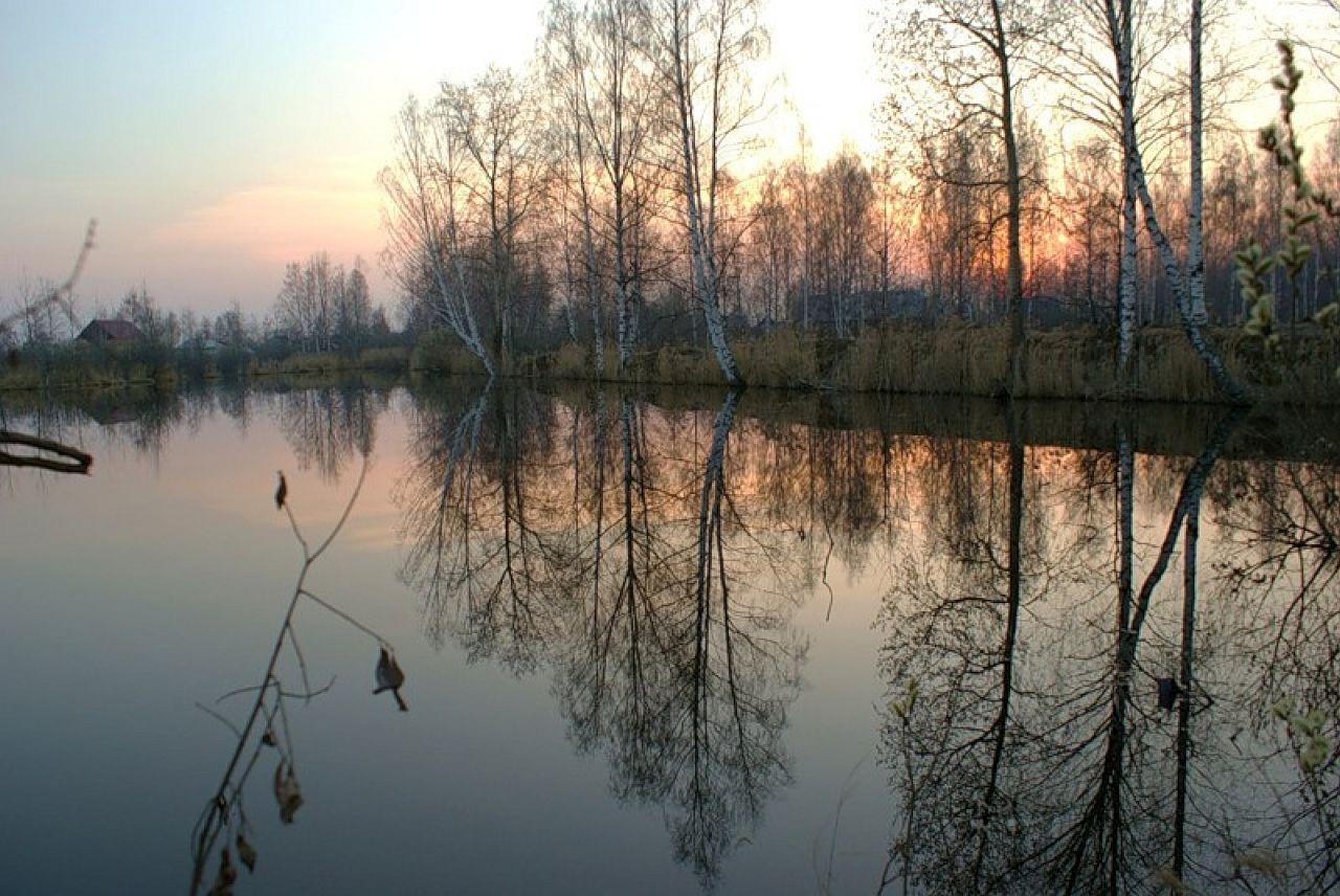 обои Весенний рассвет у реки фото