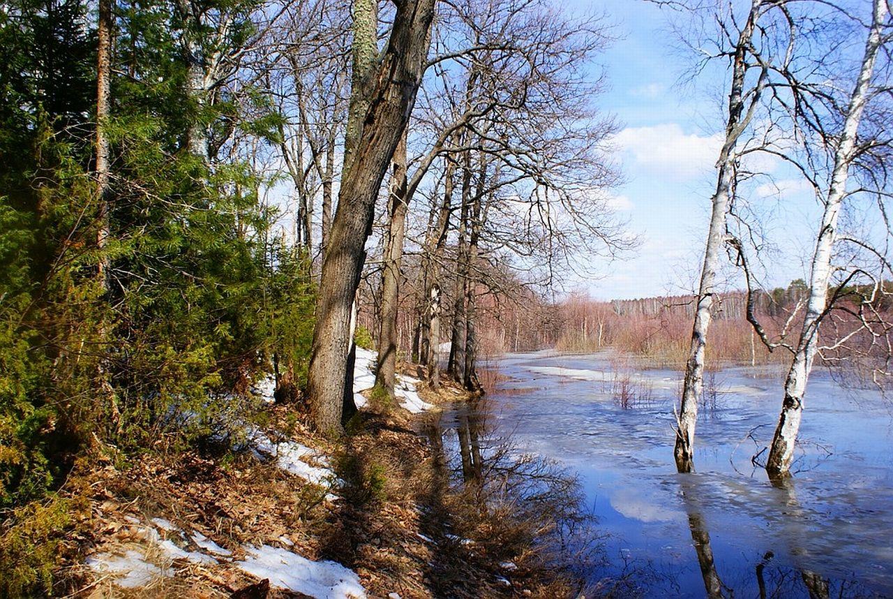 обои Весеннее половодье фото